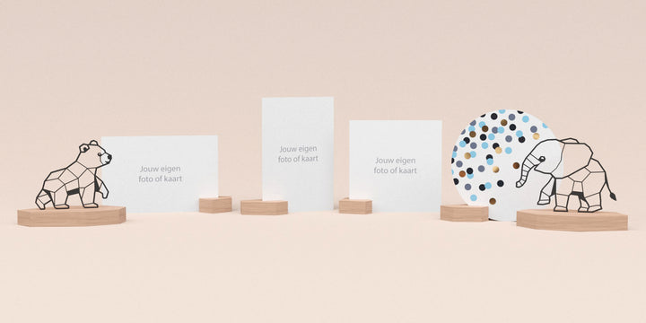 Ultieme set: Beer & Olifant met ronde wenskaart en 6 blokjes