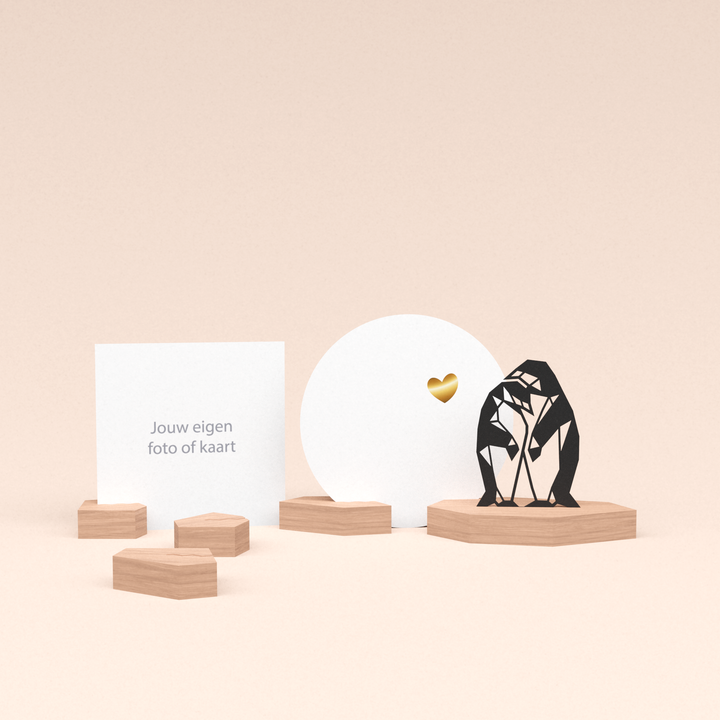 premium fotohouder cadeauset met pinguins illustratie en luxe ronde wenskaart veel liefs