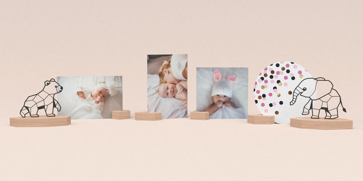 Ultieme set: Beer & Olifant met ronde wenskaart en 6 blokjes