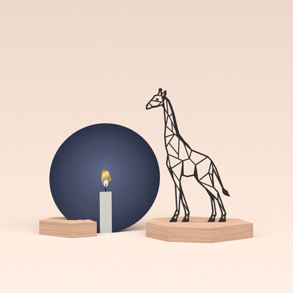 condoleance cadeau giraf met luxe ronde troost kaart kaarslicht
