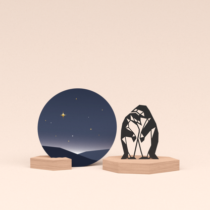 condoleance cadeau pinguin stelletje met troost kaart sterrenhemel