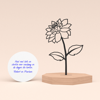 Troostcadeau Bloem | Dahlia