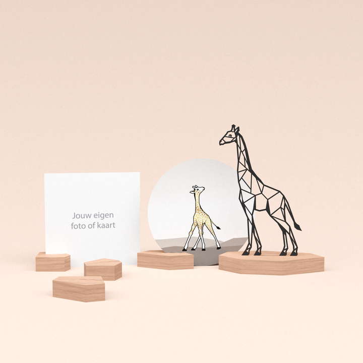 premium wenskaarthouder cadeauset met giraf illustratie en luxe ronde kaart girafje 