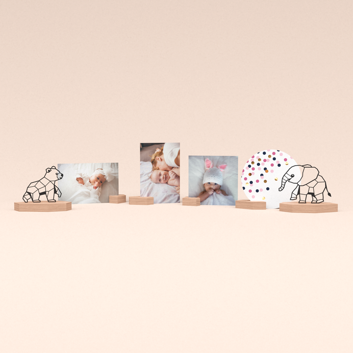 ultieme fotohouder cadeauset met beertje en olifantje en fotoblokjes voor het geboortekaartje en babyfoto's