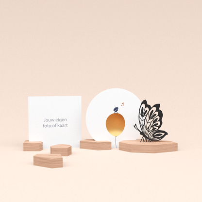 premium fotohouder cadeauset met vlinder illustratie en luxe ronde wenskaart tjiep hoera! 